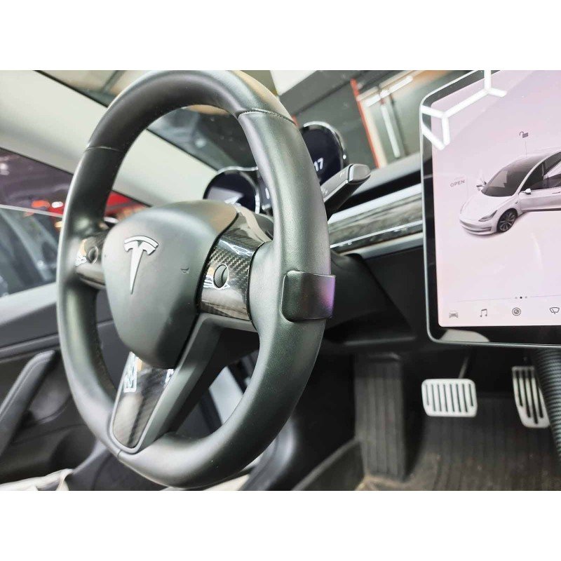 Tesla Model 3-Y autopilot